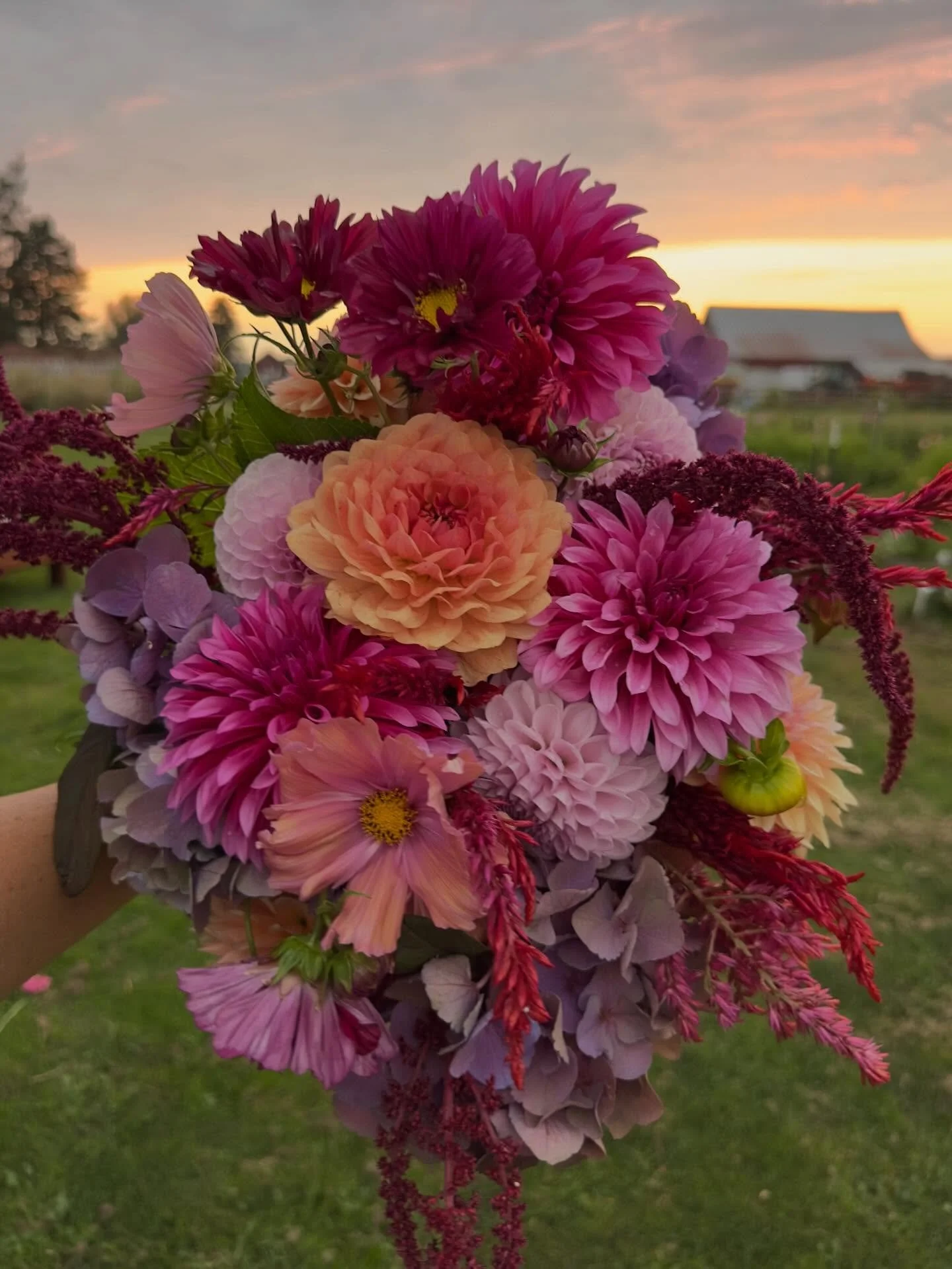 It was an intense weekend of dahlia sales. Won some, lost most, but still managed to shell out a lot of money (we&rsquo;ll just consider it an investment in other small farms 😉). 
&nbsp;
It&rsquo;s always curious to watch what&rsquo;s trending. Some