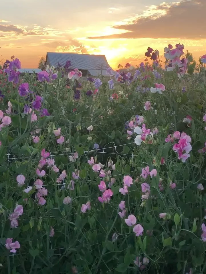 Sometimes the simplest things hit you the hardest, but in the best possible way. There&rsquo;s this line from a film I watched a few days ago that I keep replaying in my head: &ldquo;Beautiful, ain&rsquo;t it? It&rsquo;s beautiful. All of it. Every b