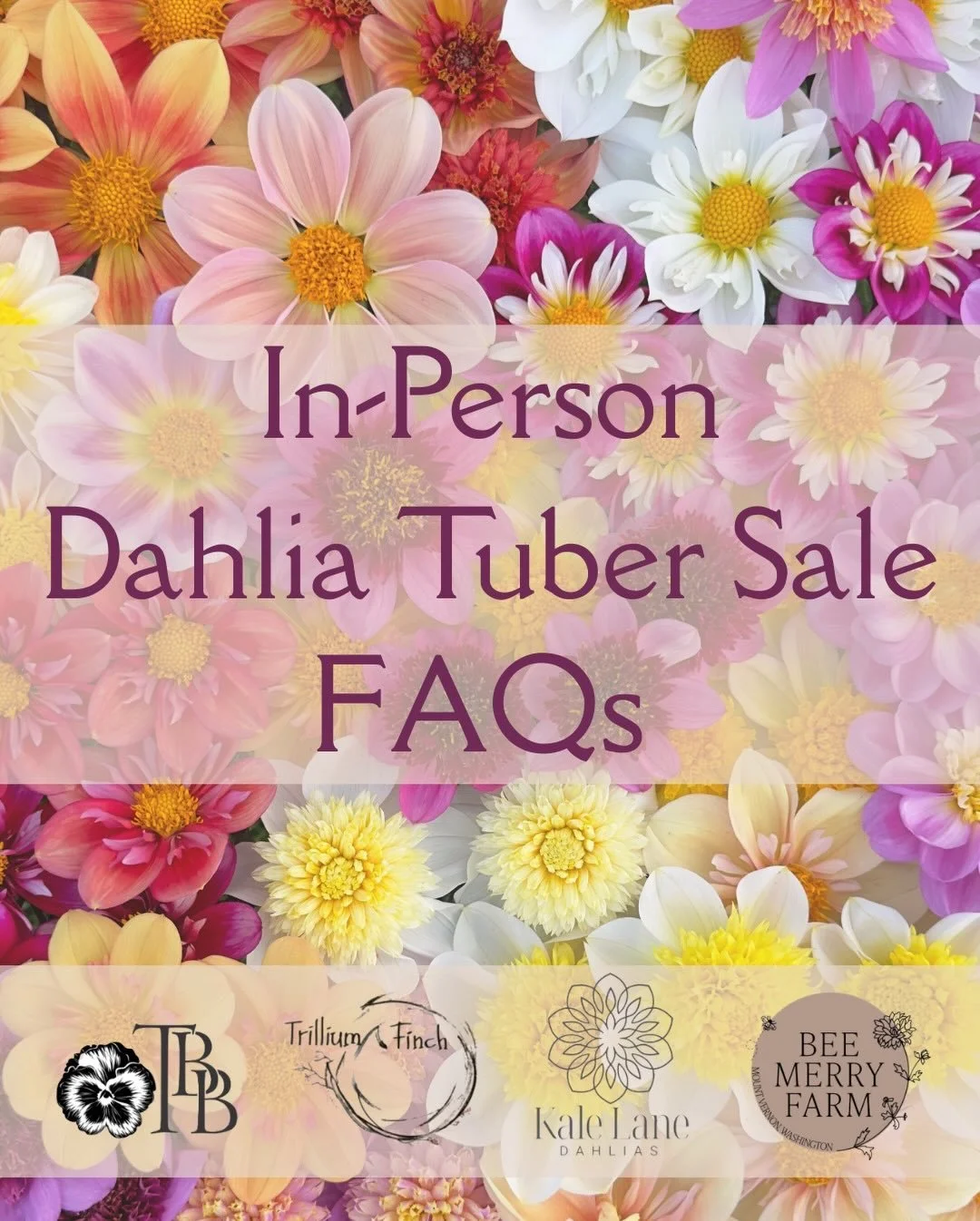 We&rsquo;re working hard to make our 4th annual in-person dahlia tuber sale the best one yet! We will continue sharing information, including our list of dahlias, in the coming days. Stay tuned for more!