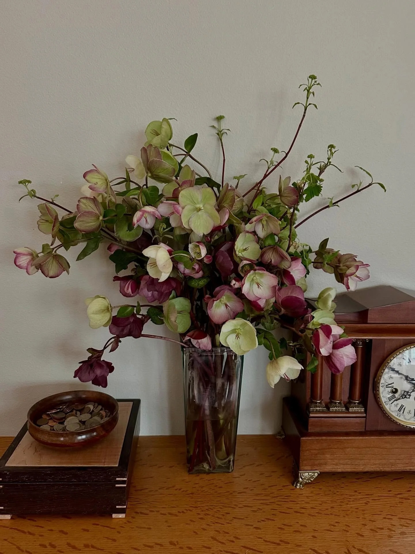 Some of my favorite hellebore combos from the last two seasons! The first photo is from today, and is the same arrangement as the second photo from over a week ago (with the &ldquo;spent&rdquo; stems removed). The majority of the hellebore in this ar