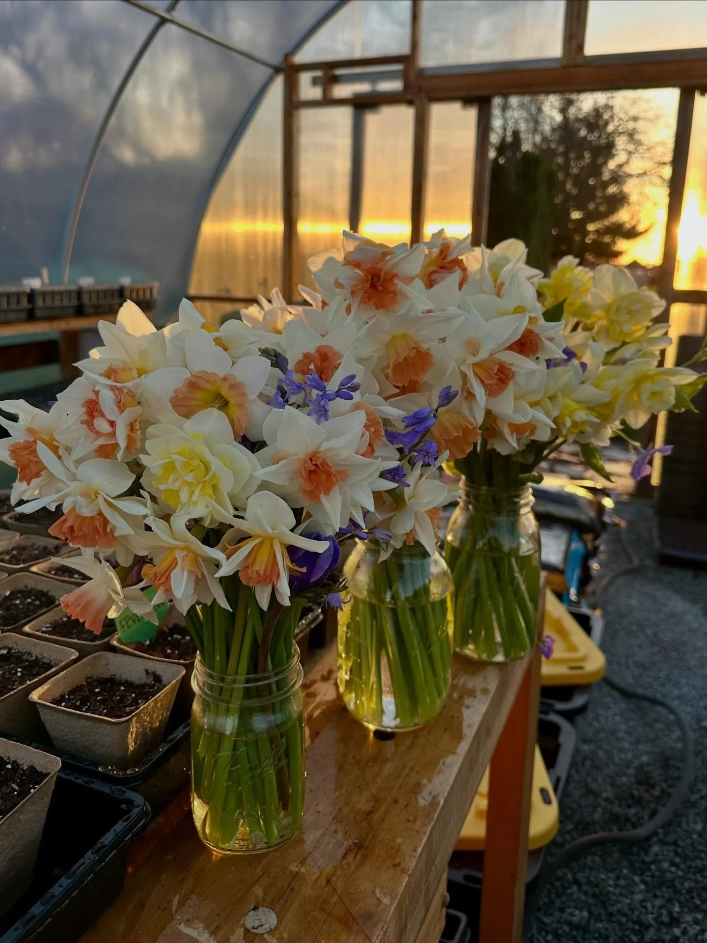 I had the &lsquo;perfect&rsquo; caption in my head as I snapped this picture, but it was gone by the time I came inside. I guess it wasn&rsquo;t so perfect after all or it would have stuck. I&rsquo;m learning, albeit somewhat begrudgingly, that chasi