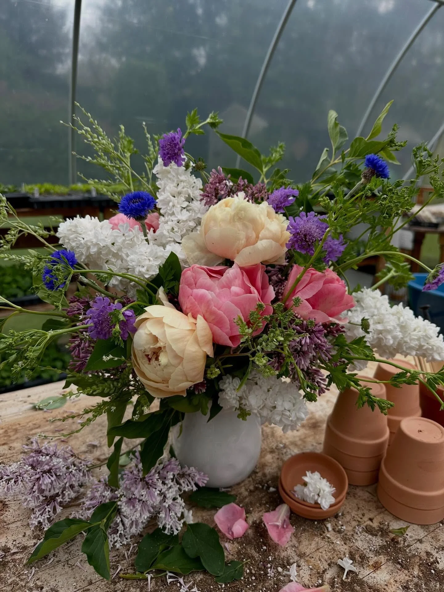 It seems everything in Spring blooms for just a time and then, poof, it&rsquo;s over. Spring is the ultimate whirlwind of all things: unpredictable weather, one briefly blooming flower quickly followed by the next, planting and planting and planting.