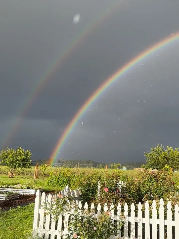 When the clouds become dark as the sun dips behind the neighboring barn, you can always bet magic is about to happen. That&rsquo;s when you can find me racing outside, momentarily leaving the regular world behind in exchange for a glimpse at what alw