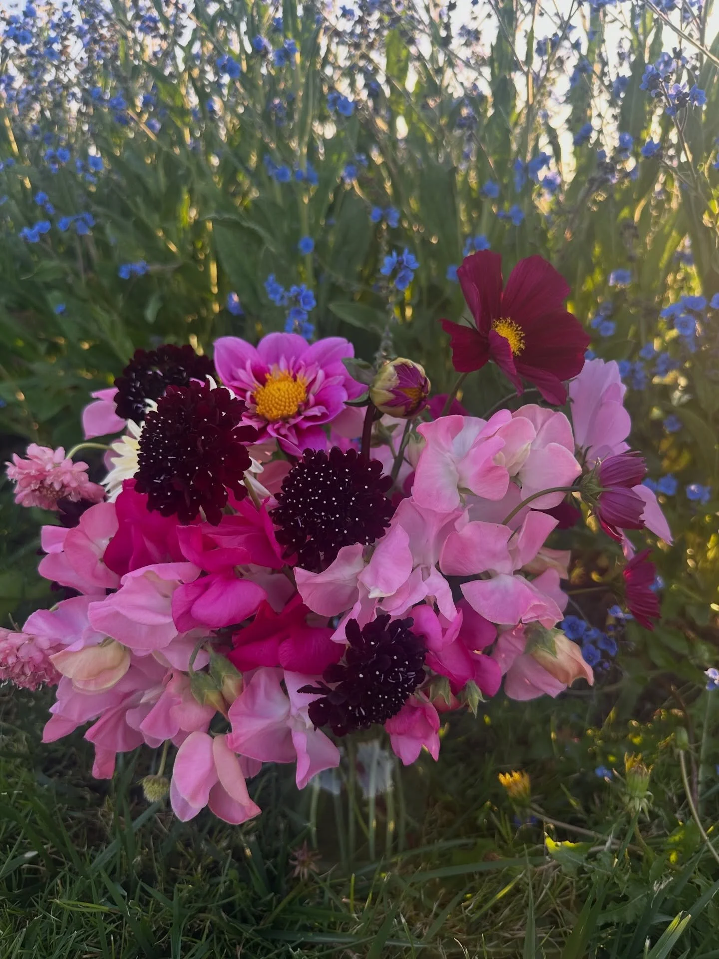Depending how you look at it, this isn&rsquo;t anything special. It&rsquo;s small, hodgepodge, and lacks that &ldquo;it&rdquo; factor. Depending how you look at it, sometimes the things that are most special though just need us to zoom in. 

Captured