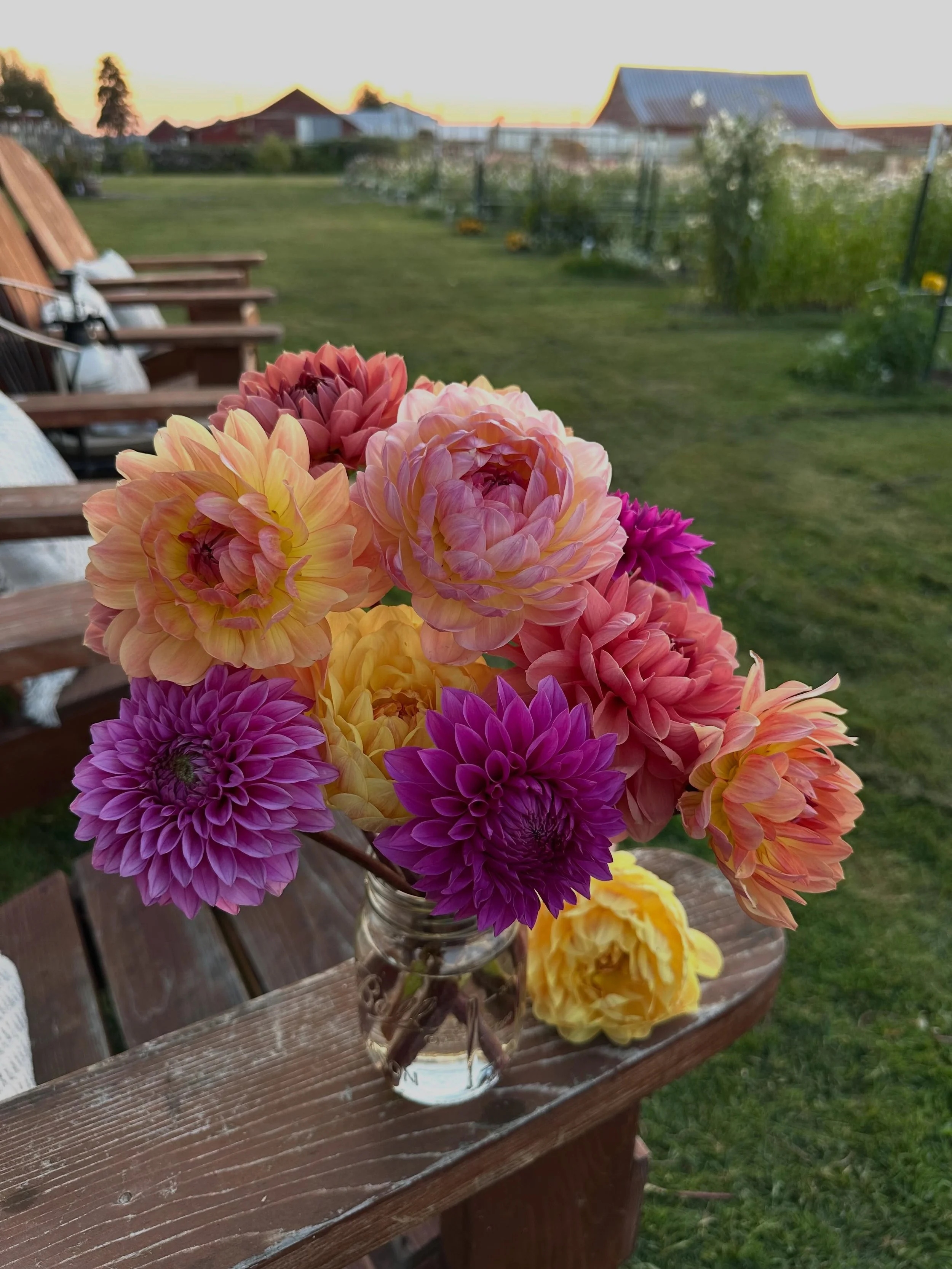 It&rsquo;s funny how after a time, you can start recognizing flowers by certain qualities. As I walked through the nearly empty peony patch tonight, I thought how odd it was to recognize the earthy scent of peony roots. With each cut of a newly bloom