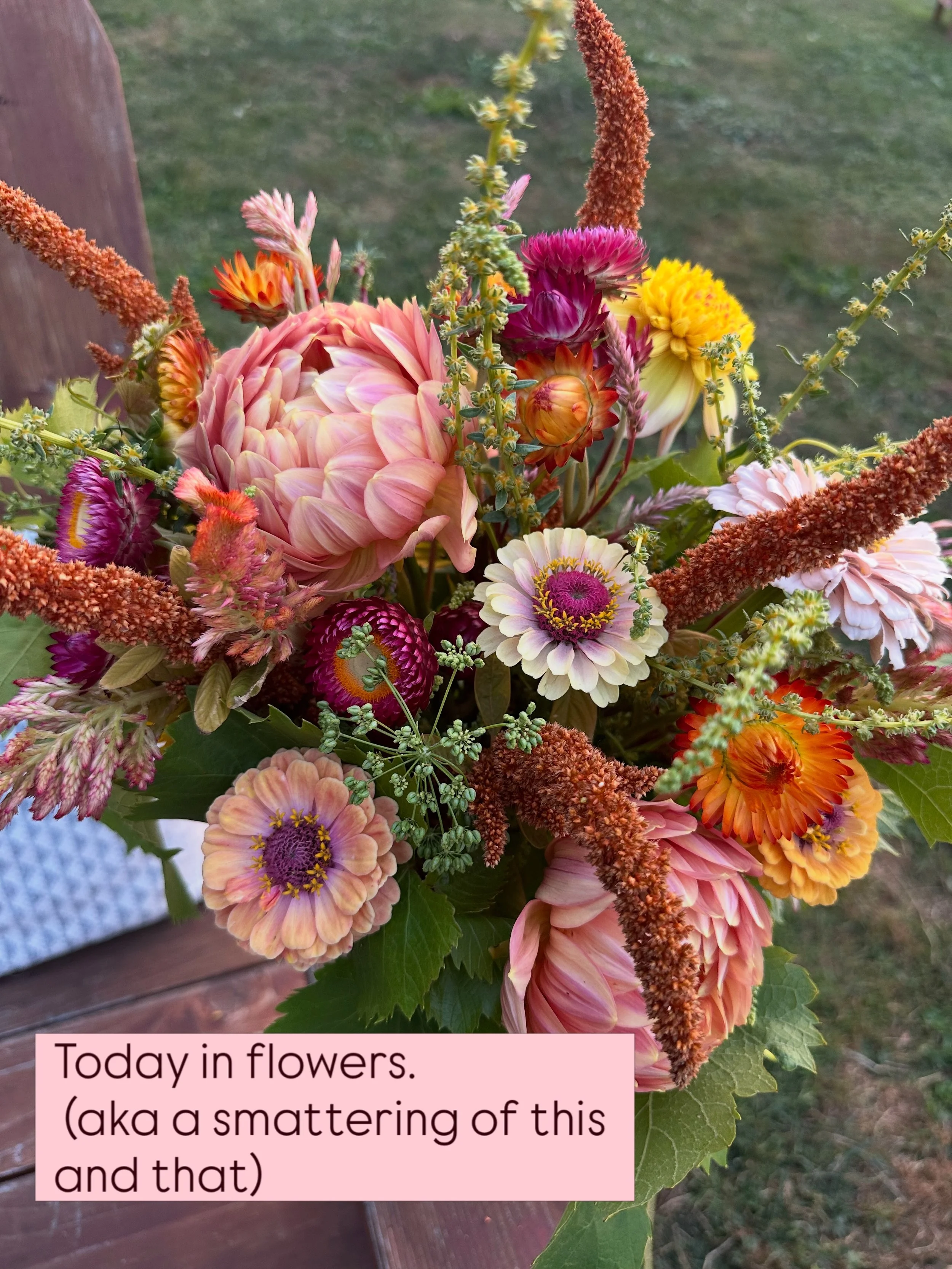 Today was a good one. I learned new things, I spent more time outside than in, and I stink (that&rsquo;s how I gauge a successful farm day . . . the stinkier and dirtier I am, the more I&rsquo;ve accomplished).

I&rsquo;m learning that a good day isn