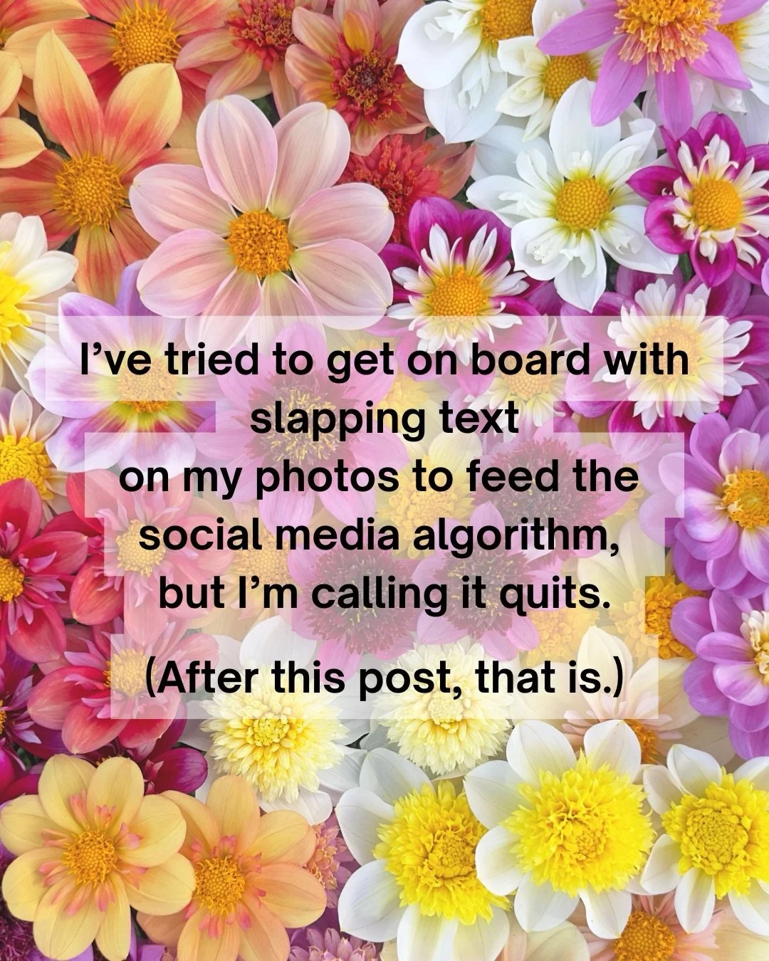 The caption ^^^ is in the post, which I suppose means it&rsquo;s not a caption at all. 
No shade intended toward those who enjoy riding the trends, it&rsquo;s just not for me. Follow along for thoughtful, slow-paced content and maybe consider tapping