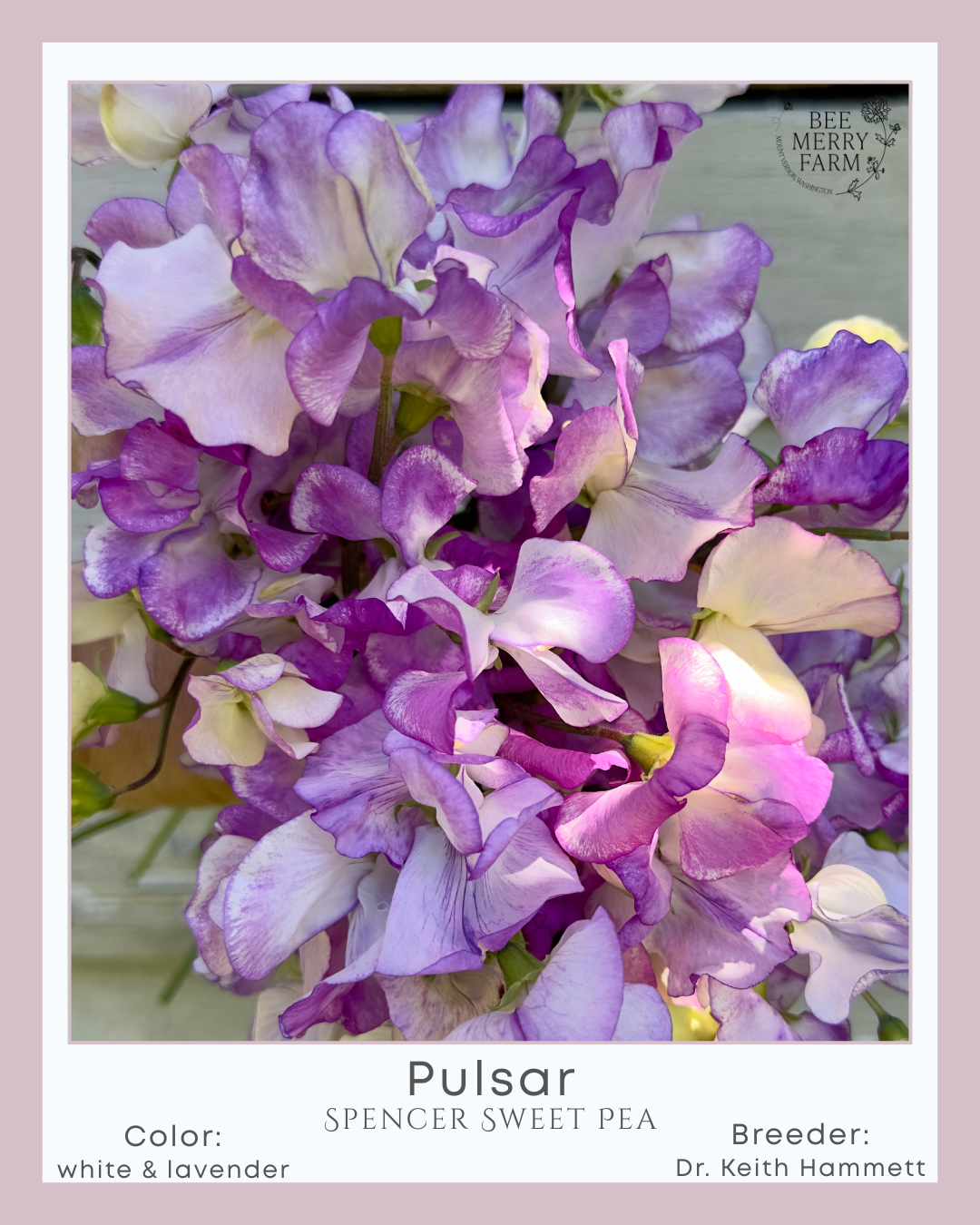Pulsar-2.png