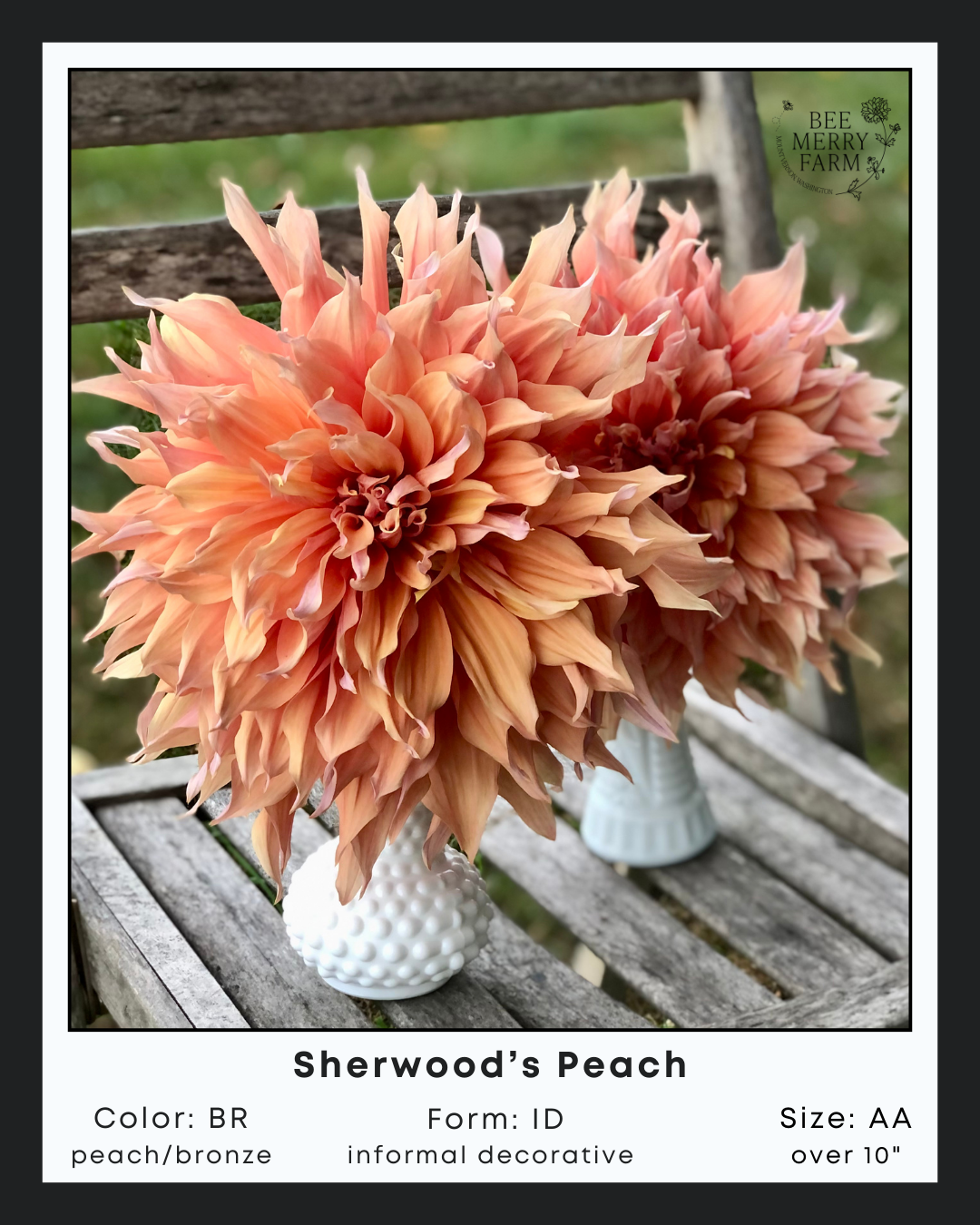 Sherwoods Peach-2.png