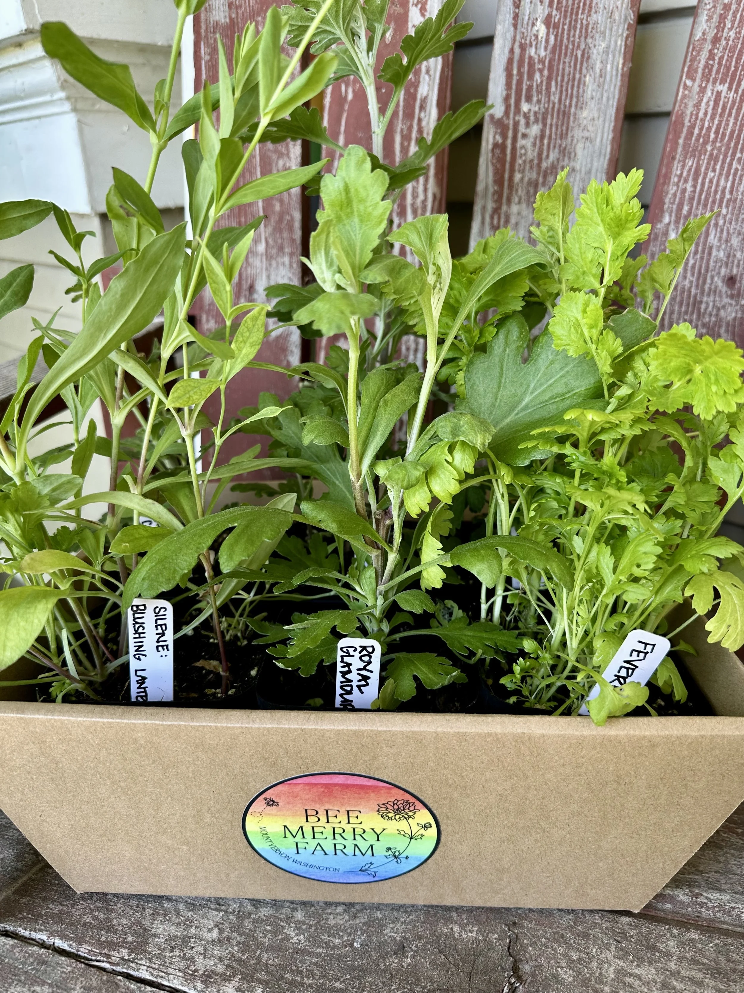 Garden Pride-1.jpg