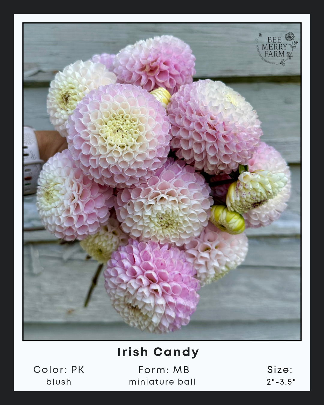 Irish Candy