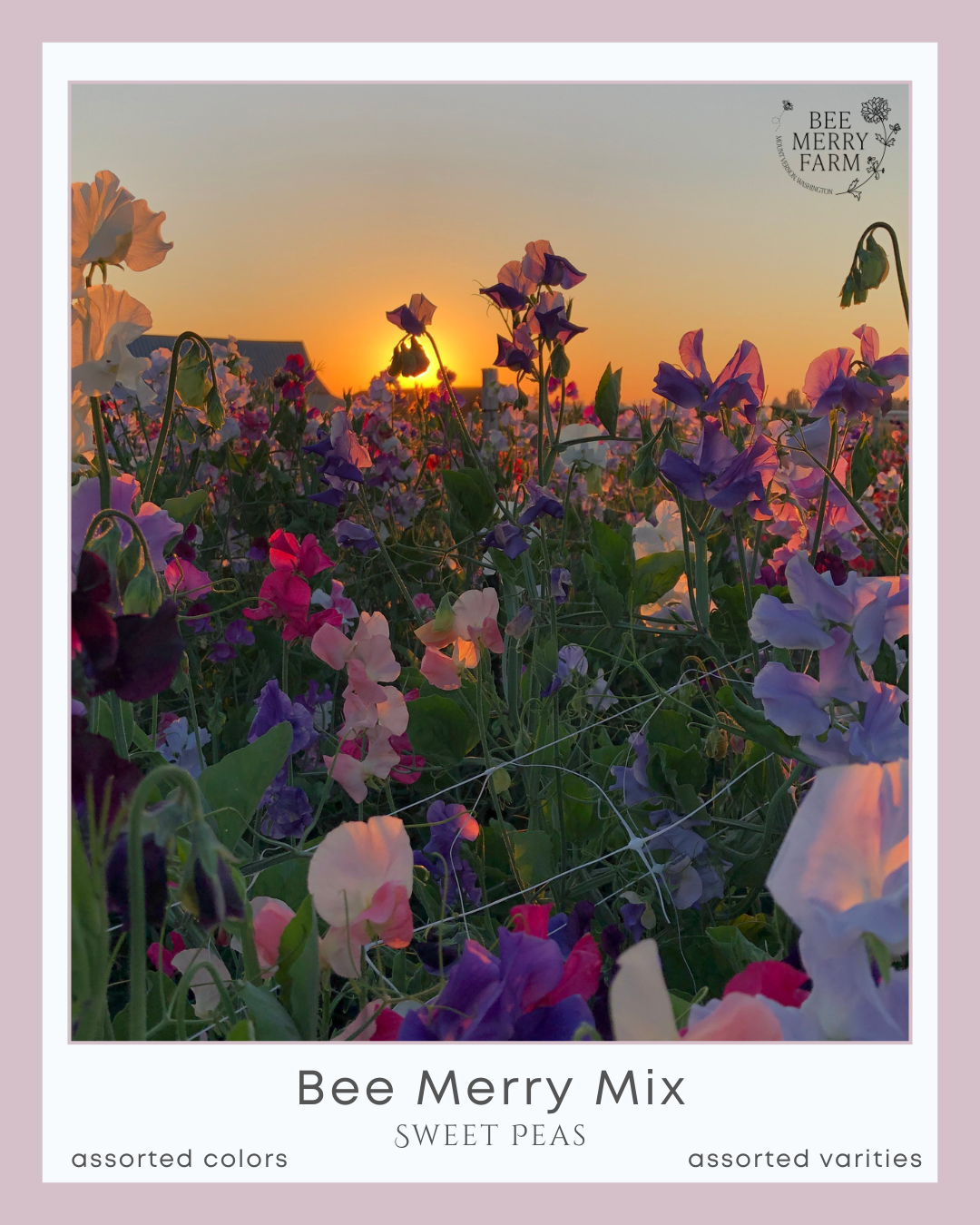 Bee Merry Mix-1.png