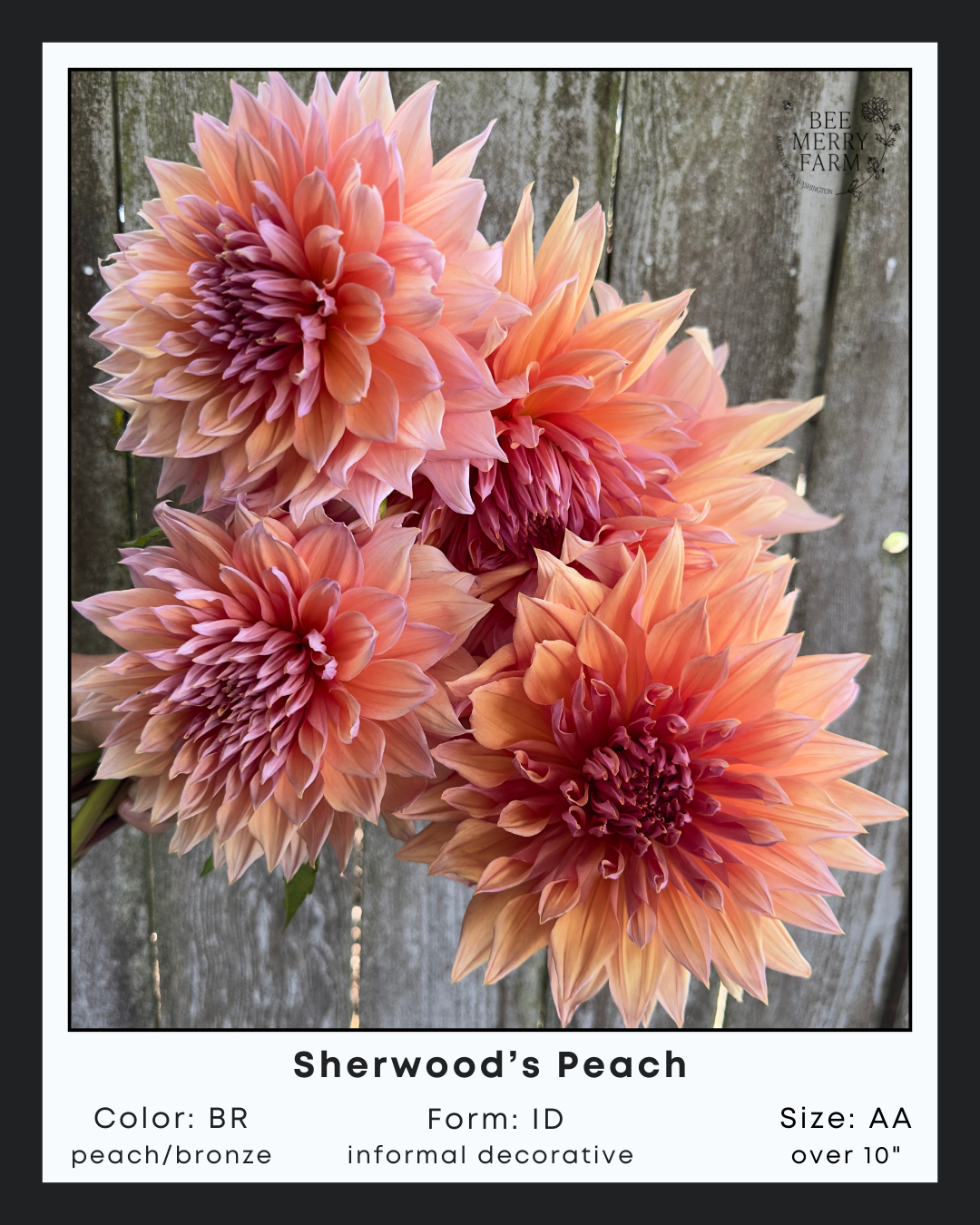 Sherwoods Peach-1.png
