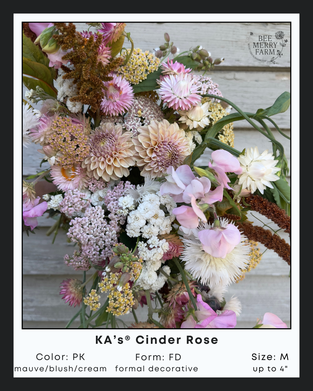 KAs Cinder Rose-3.png