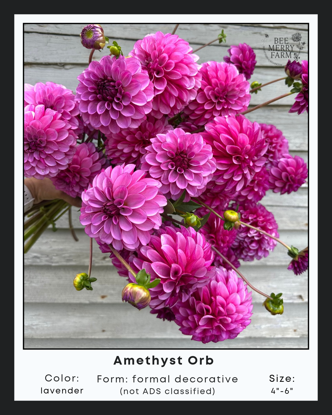 Amethyst Orb.png