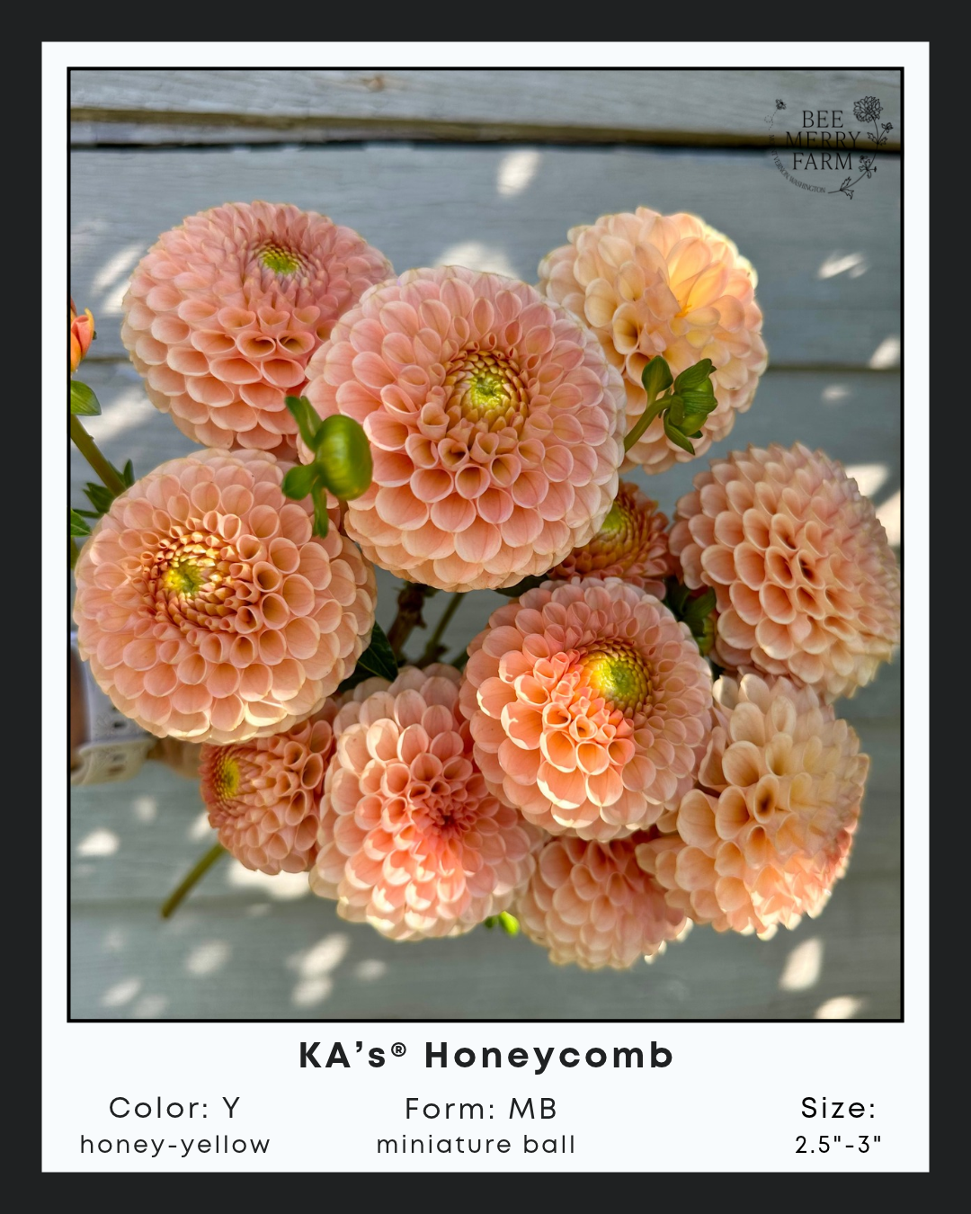 KAs Honeycomb-1.png