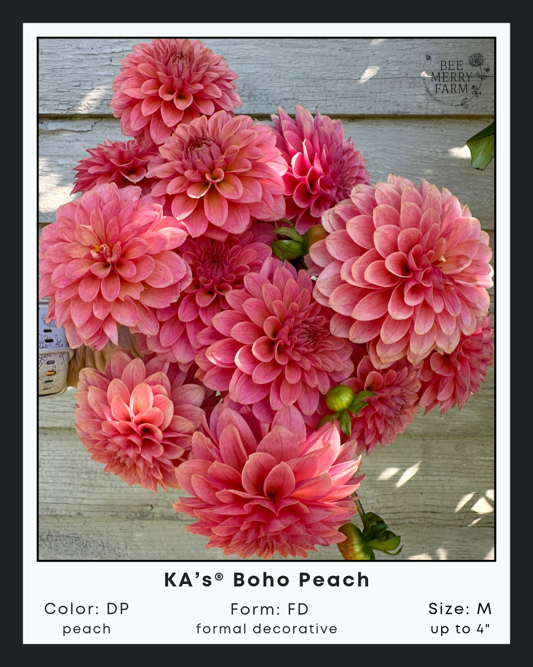 KAs Boho Peach-1.png