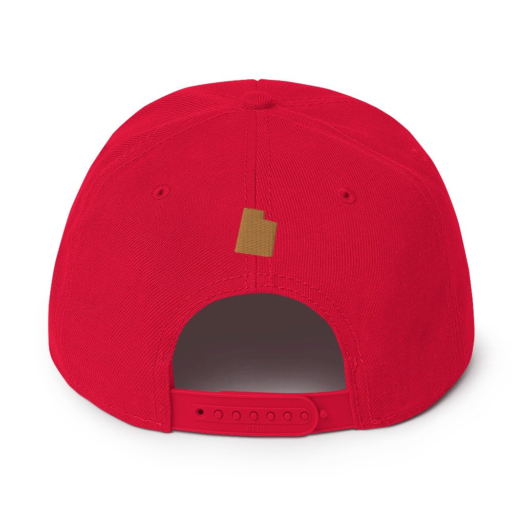 snapback-red-back-6440ea7ddc9e7.jpg