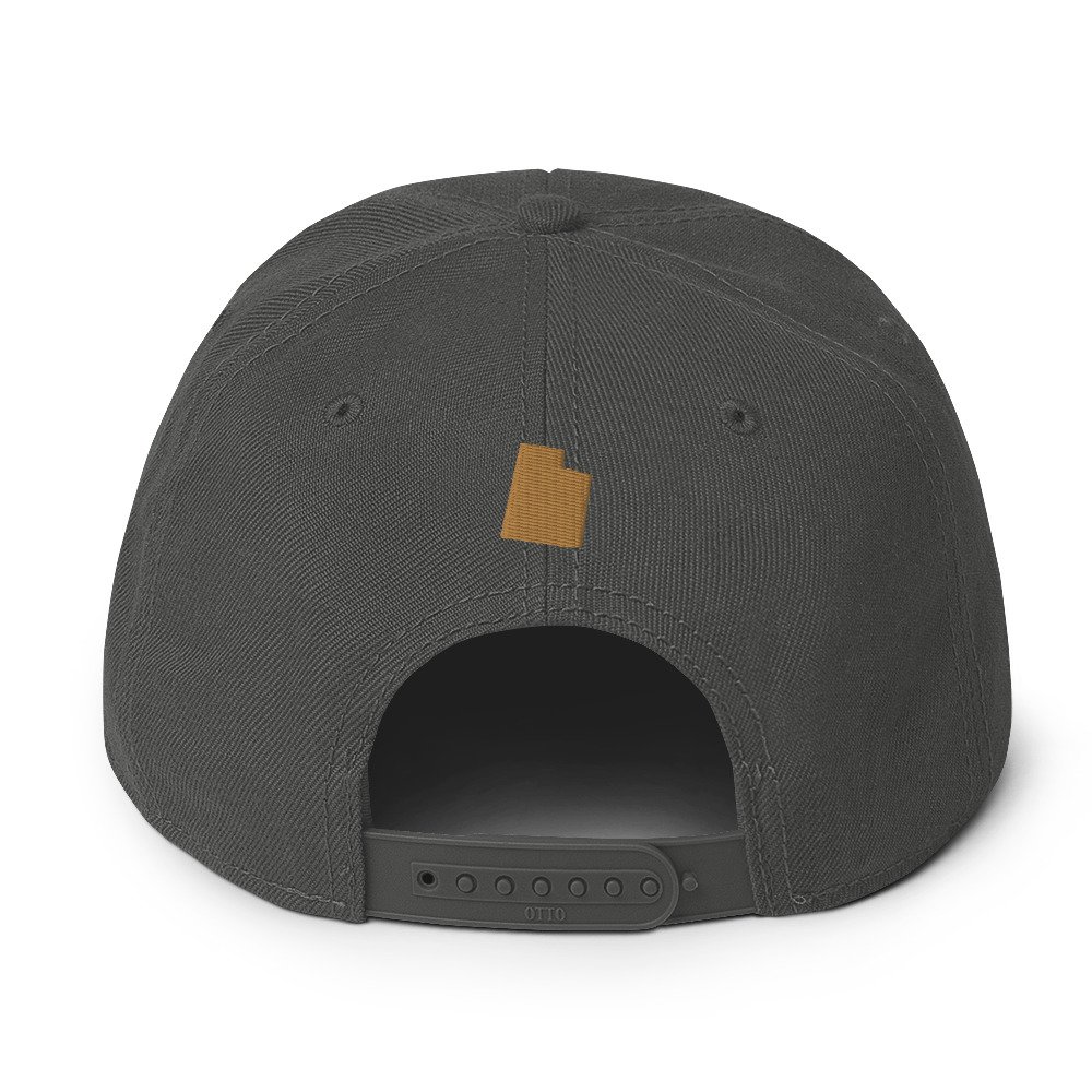 snapback-charcoal-gray-back-6440ea7ddcb18.jpg