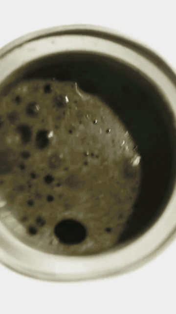 02-tome-tome-2.gif