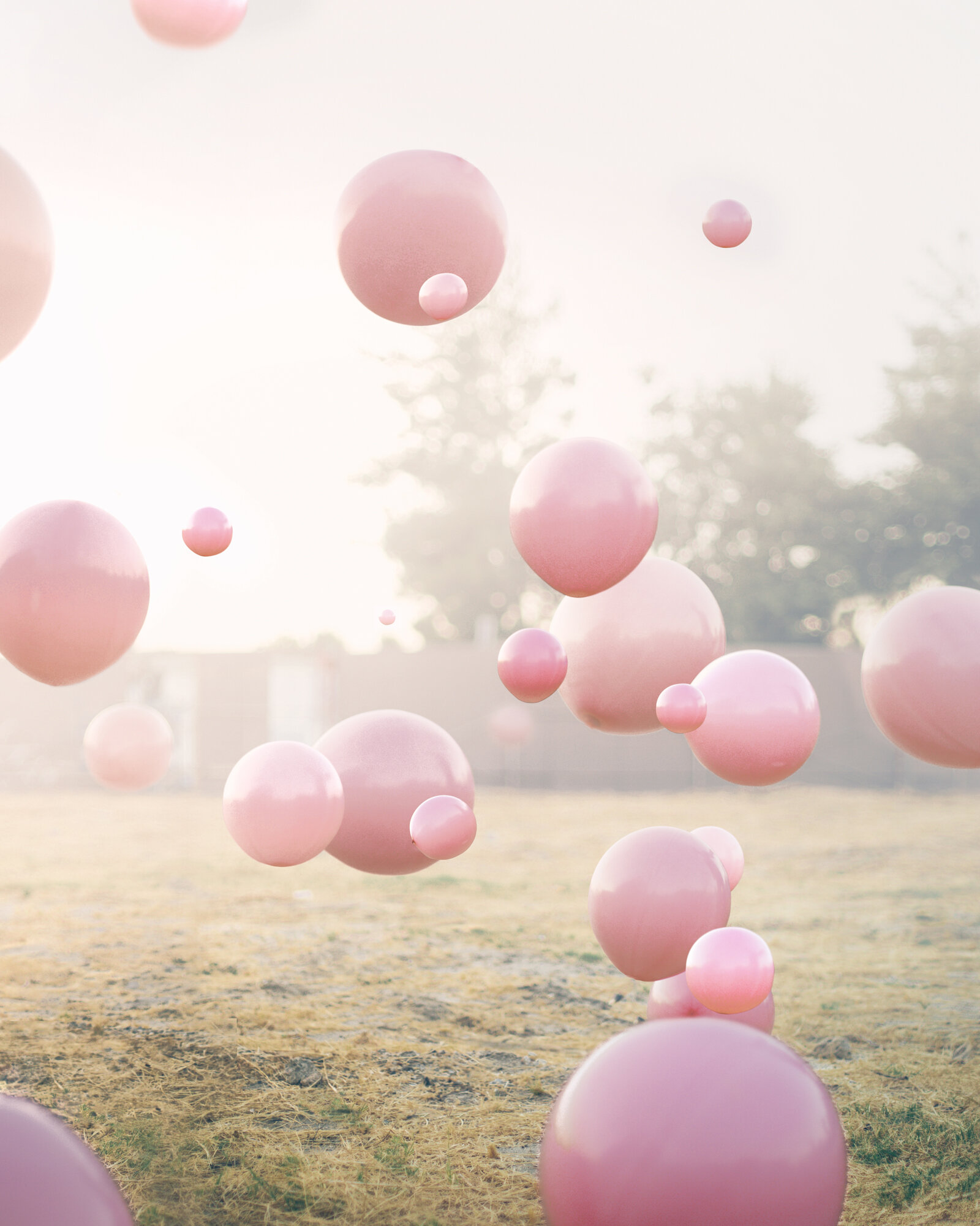 Pink Drops