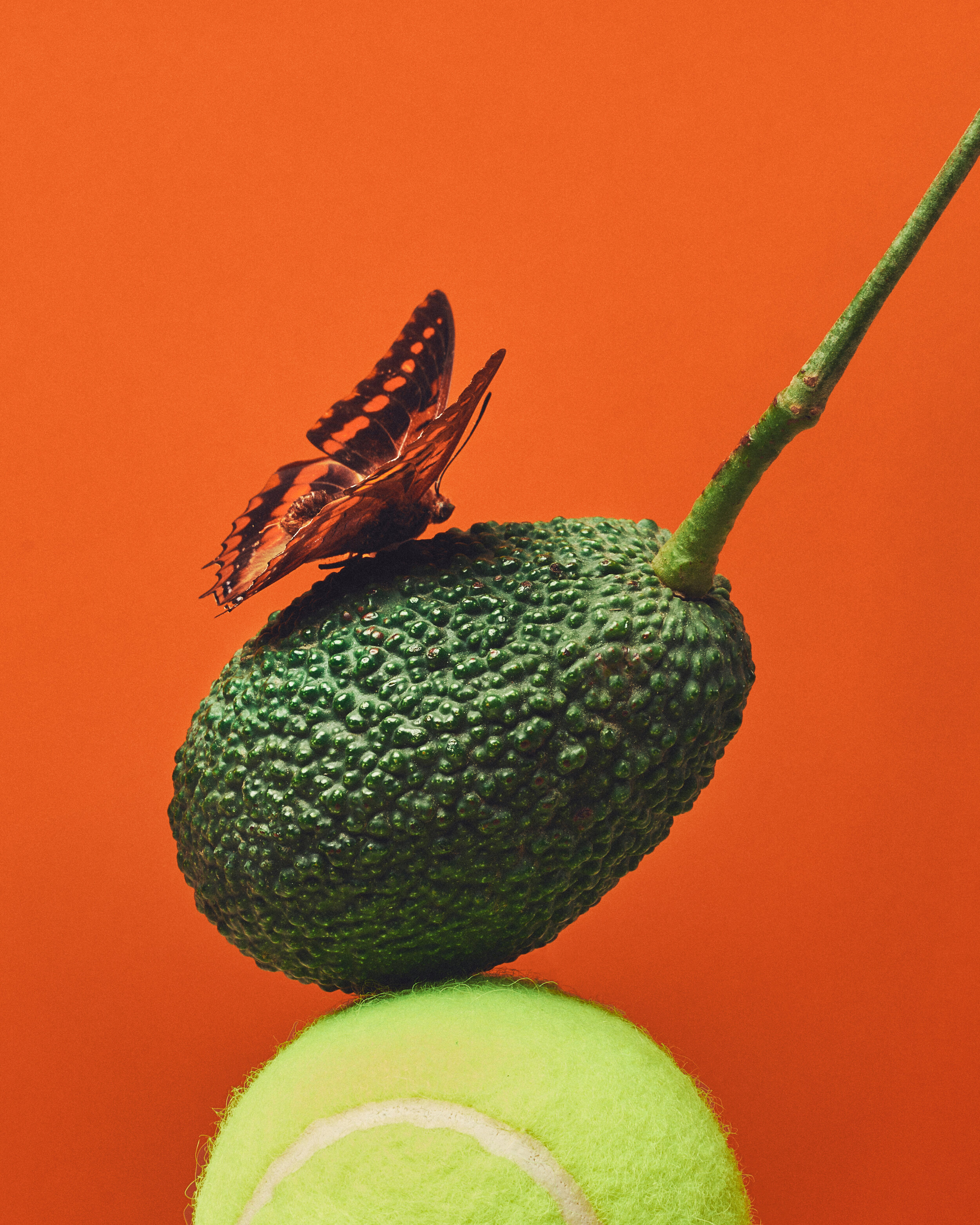 2021_Naomi_Pick_Up_Avocado_Sculpture_V1.jpg