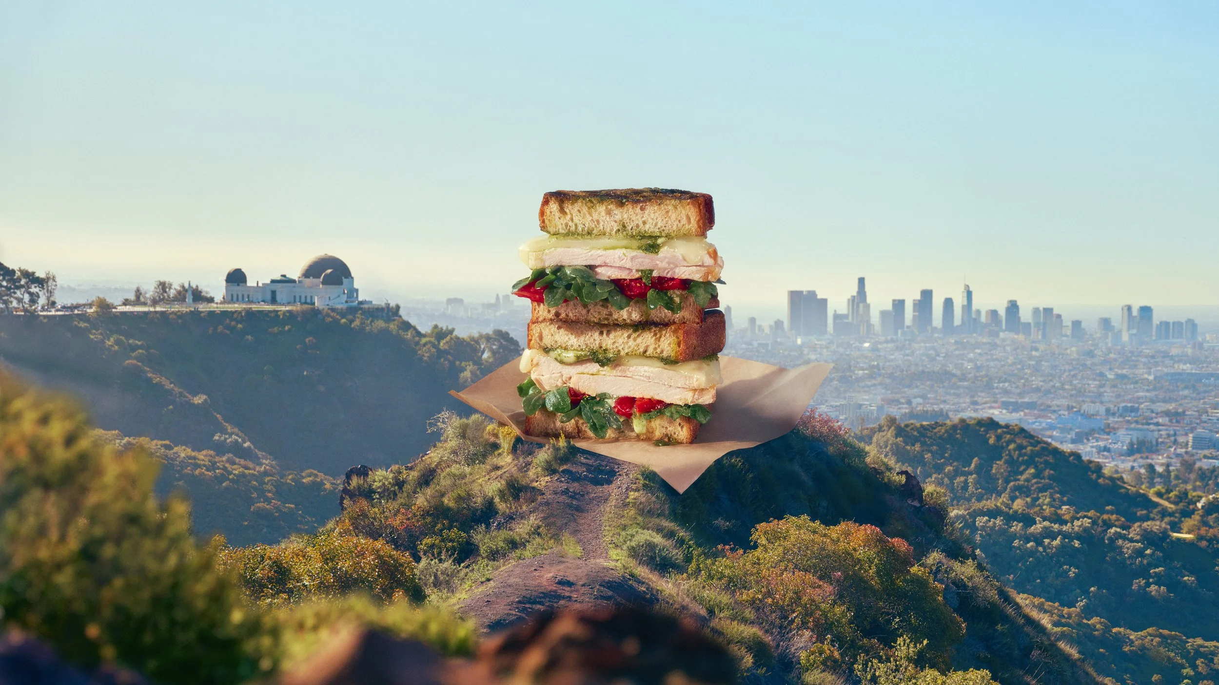 Tender_Greens-_GP_Postmates_Studio1607_dn_vh1_cw_NS_vh2.jpg