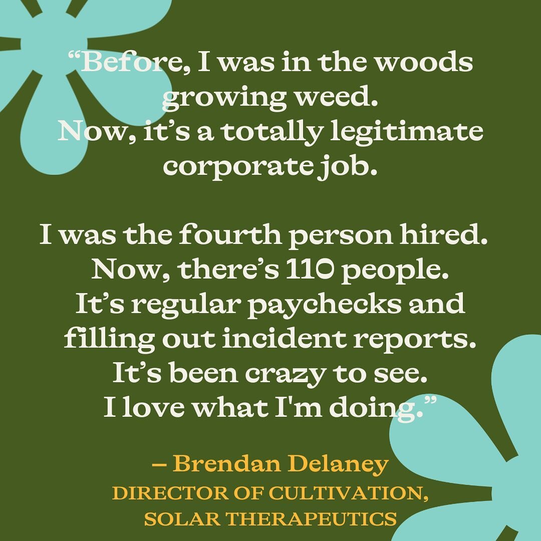 Did you catch our chat with the brilliant Brendan, director of cultivation at @solarcannabisco? 
Learn all about the ins and outs of working in the rapidly evolving cannabis industry from this highly knowledgeable legend. 
Link in bio and stories 🌱