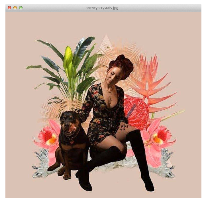 Open Eye Crystals collage of a woman with a black dog surrounded by tropical flowers and leaves
