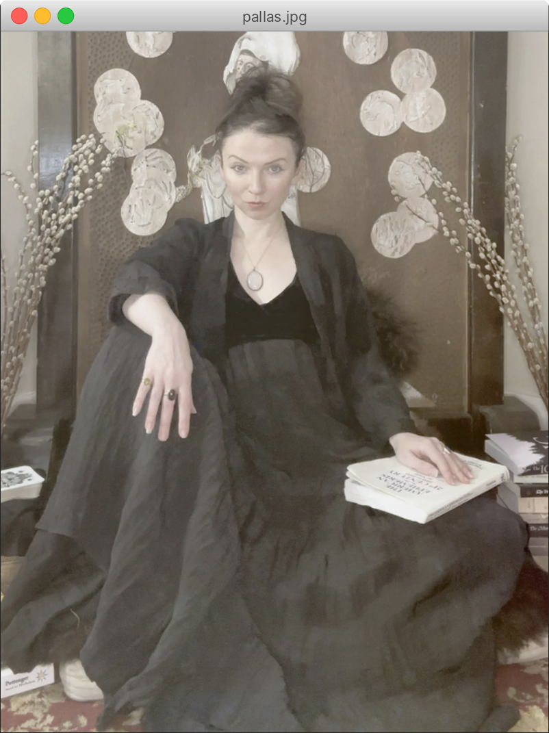 Pallas Augustine seated in a flowing black gown with a book in hand, in front of a panel of silver moon discs and pussy willow branches