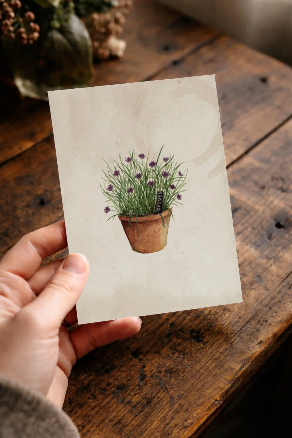 BM108 POTTED CHIVES CARDS IN HAND.jpg