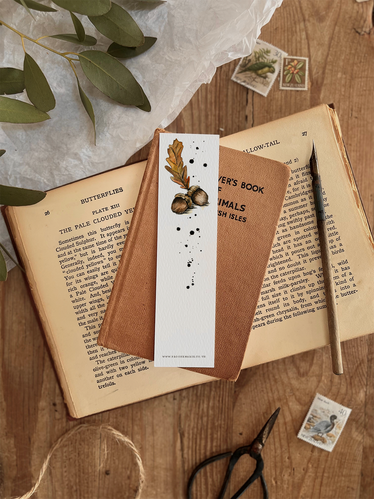 ACORN BOOKMARK.png