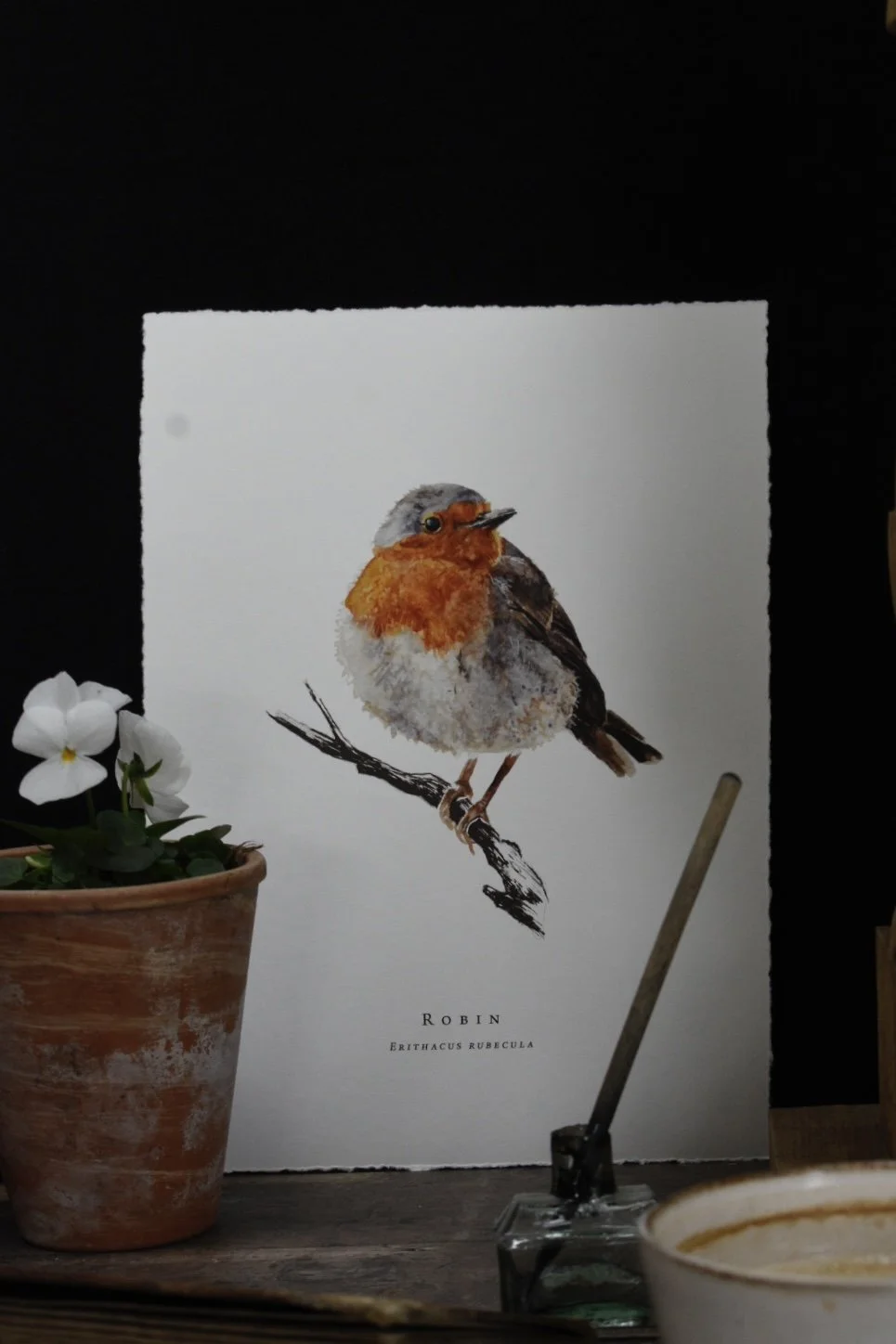 Garden Birds Brown Little Robin Luxury Fine Art Print. 2.jpg