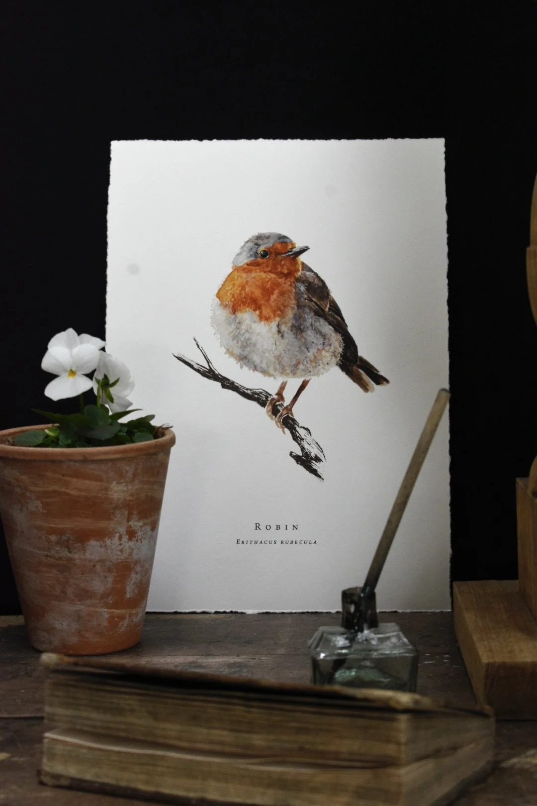 Garden Birds Brown Little Robin Luxury Fine Art Print. 4.jpg