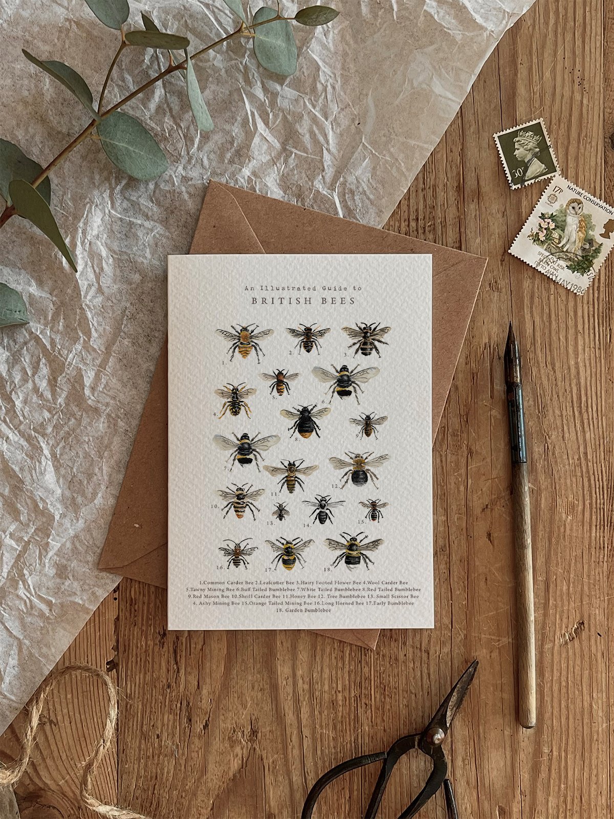 British Bees Card  (Minimum of 6)