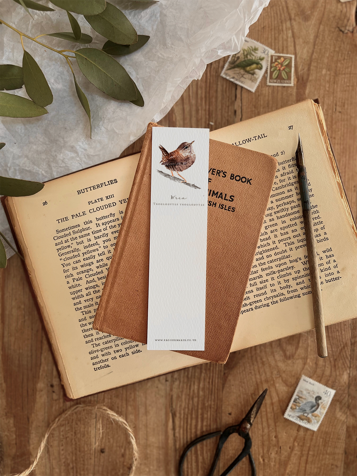 WREN+BOOKMARK.png