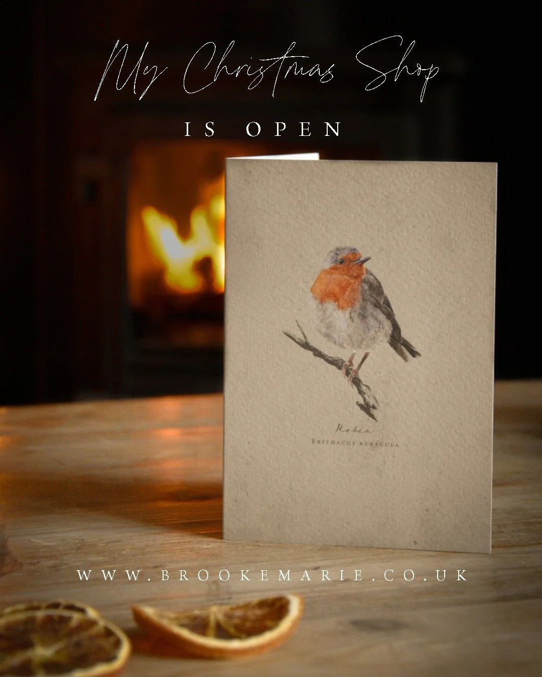 And we're a go!

We have two new designs this year on my website. I can't wait to see what you think, one involves two little boys waiting up to see the magic, the other is a mansion I want to both live in and eat. Let me know if you like them!

With