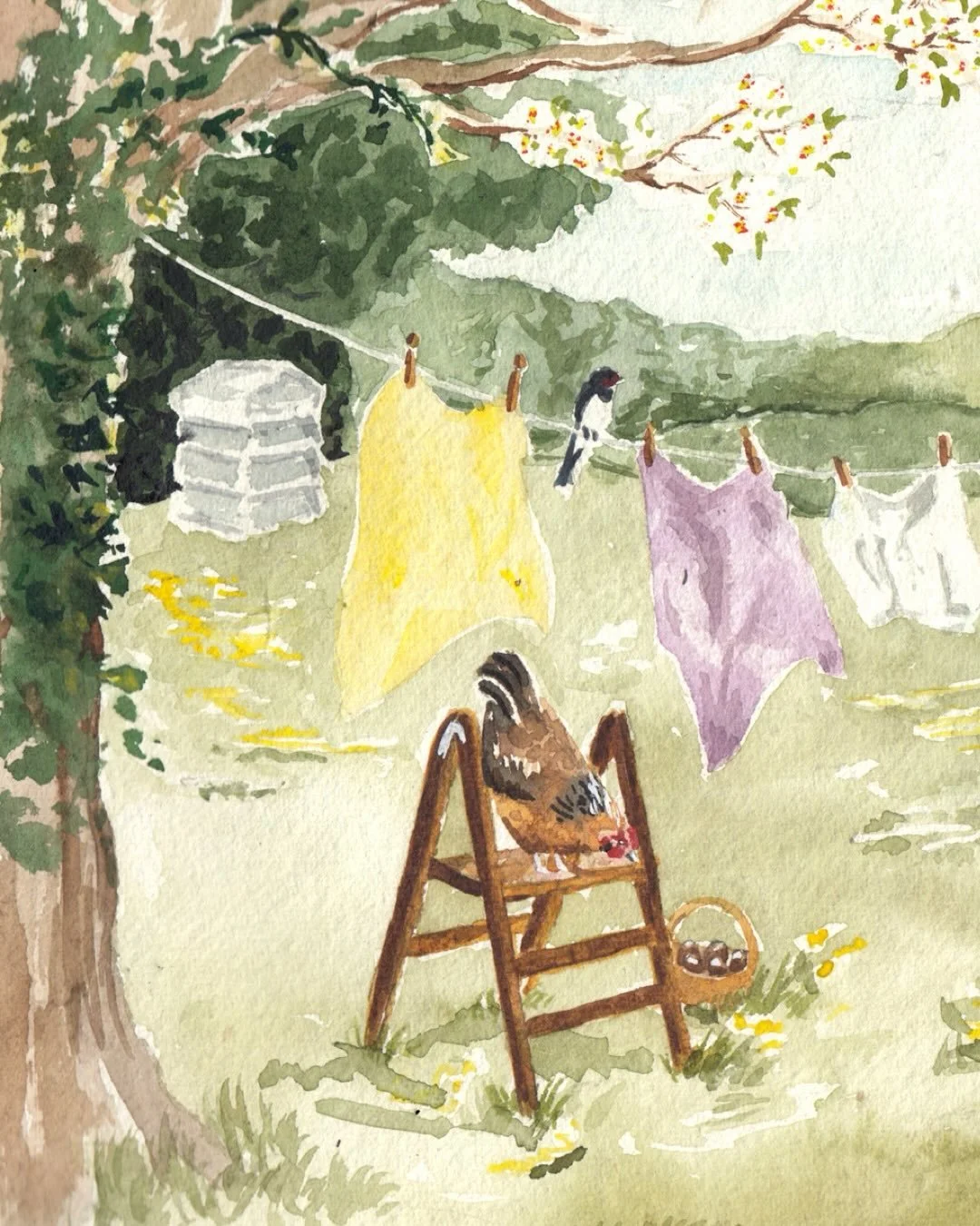 Who&rsquo;s looking forward to that first good clothes drying day? Hang tight it won&rsquo;t be long.