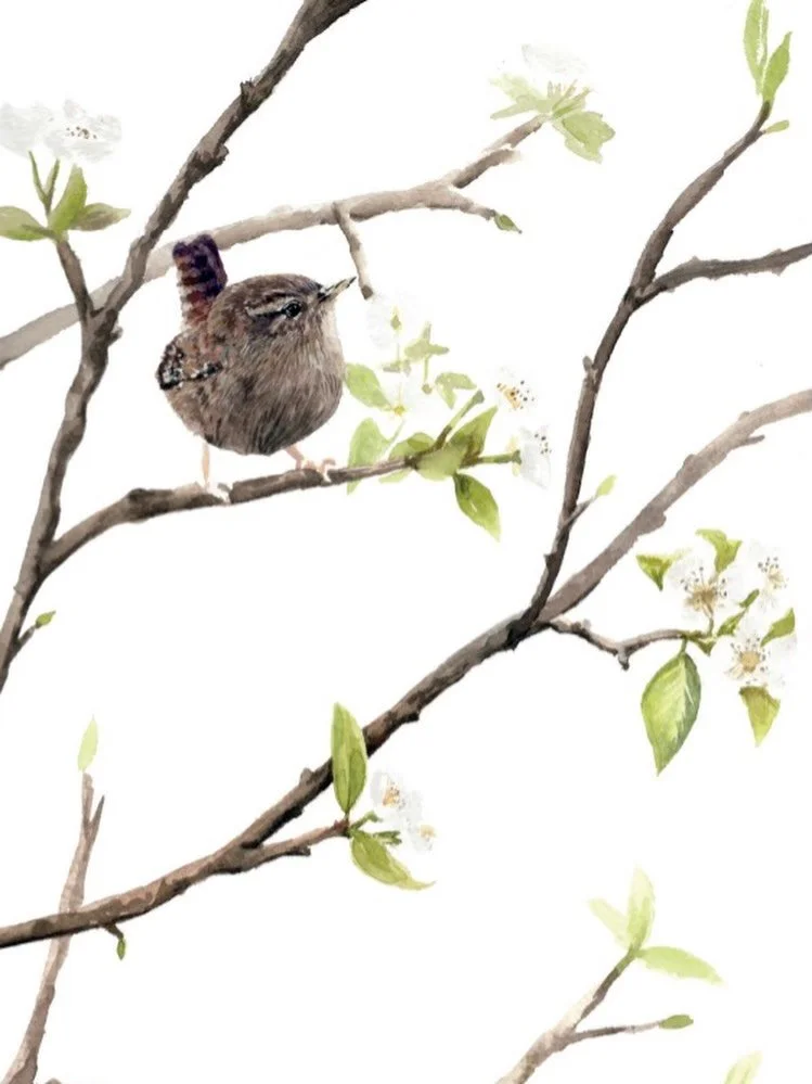 Wishing you a Springing Sunday 🌸🌱🌼🌷
What have you got planned?