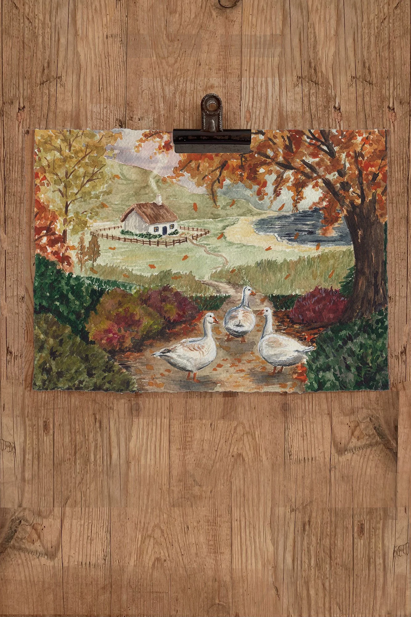 AUTUMN VIEW.jpg