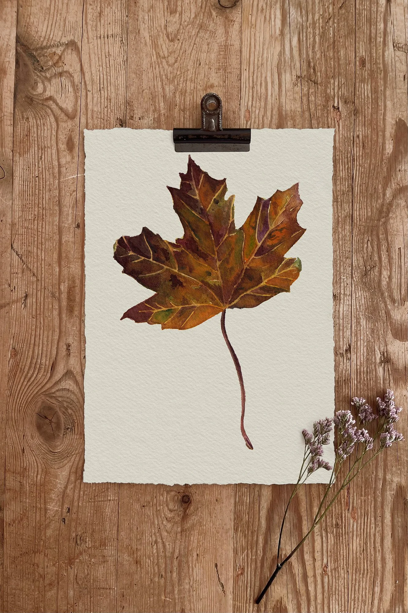 AUTUMN LEAF.jpg