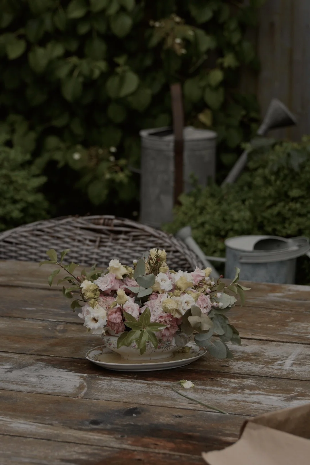 July 2025 - A Seasonal Diary