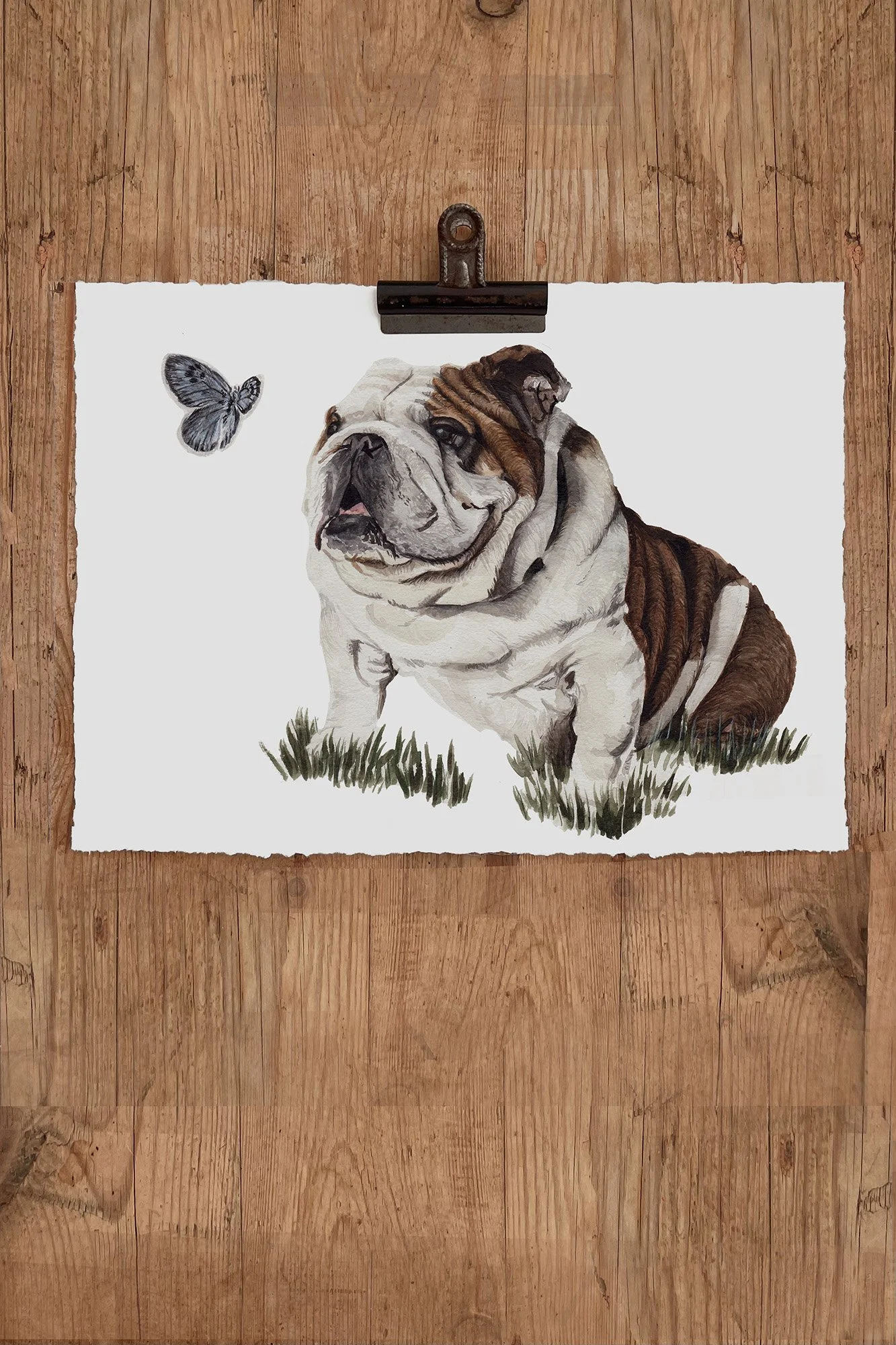 bernard bulldog print.jpg