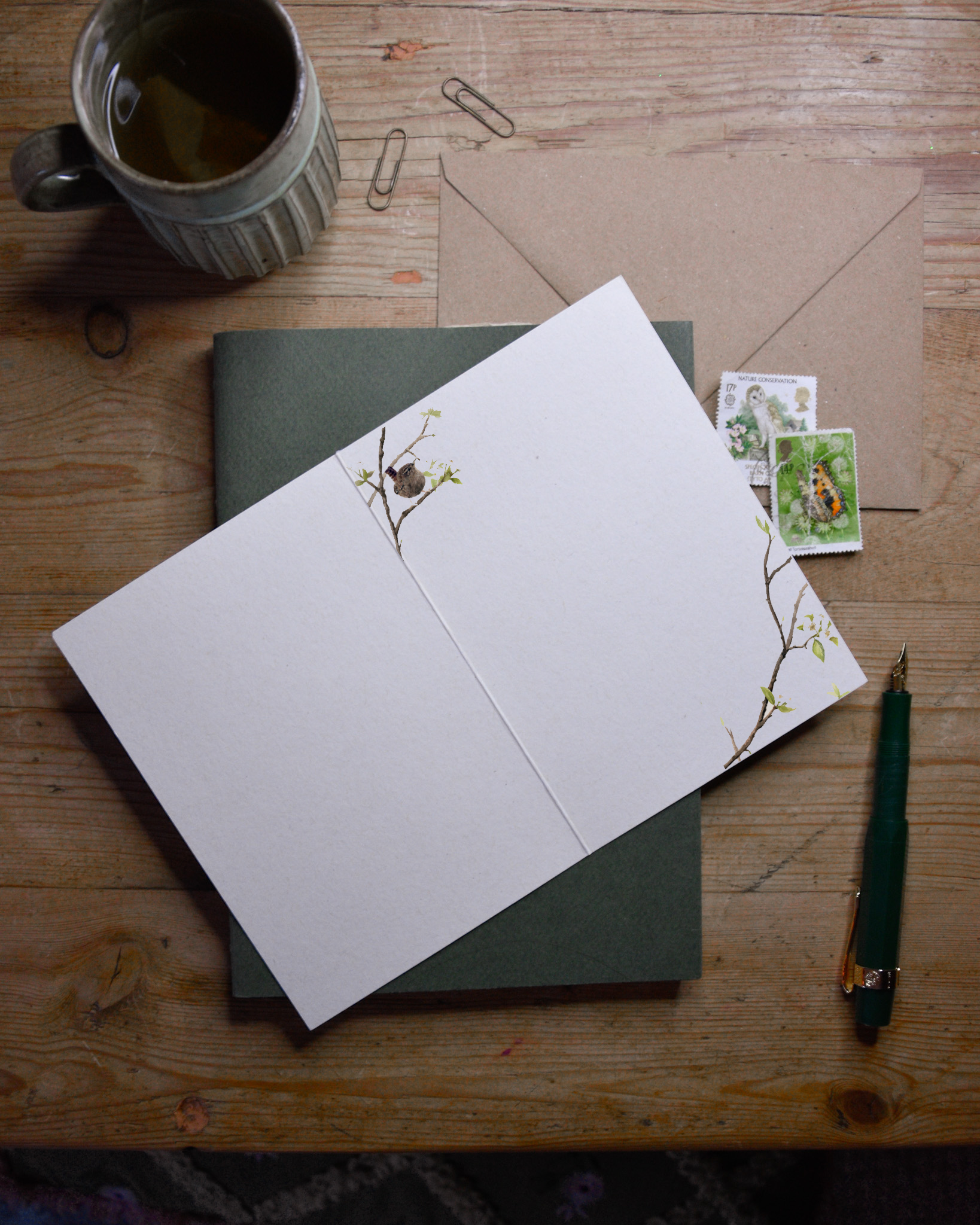 BM149 LITTLE JENNY WREN INTERNAL.png