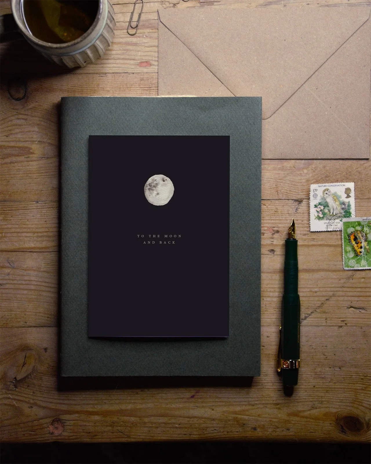 bm207 to the moon and back fron.jpg