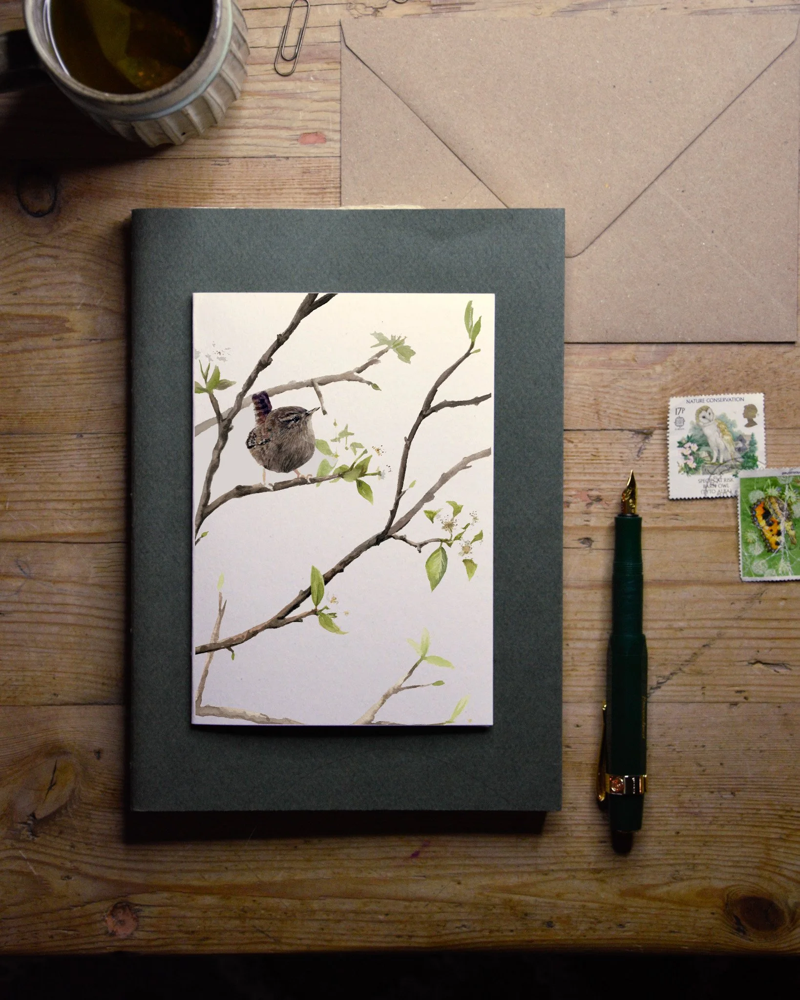 BM149 SPRING WREN.jpg