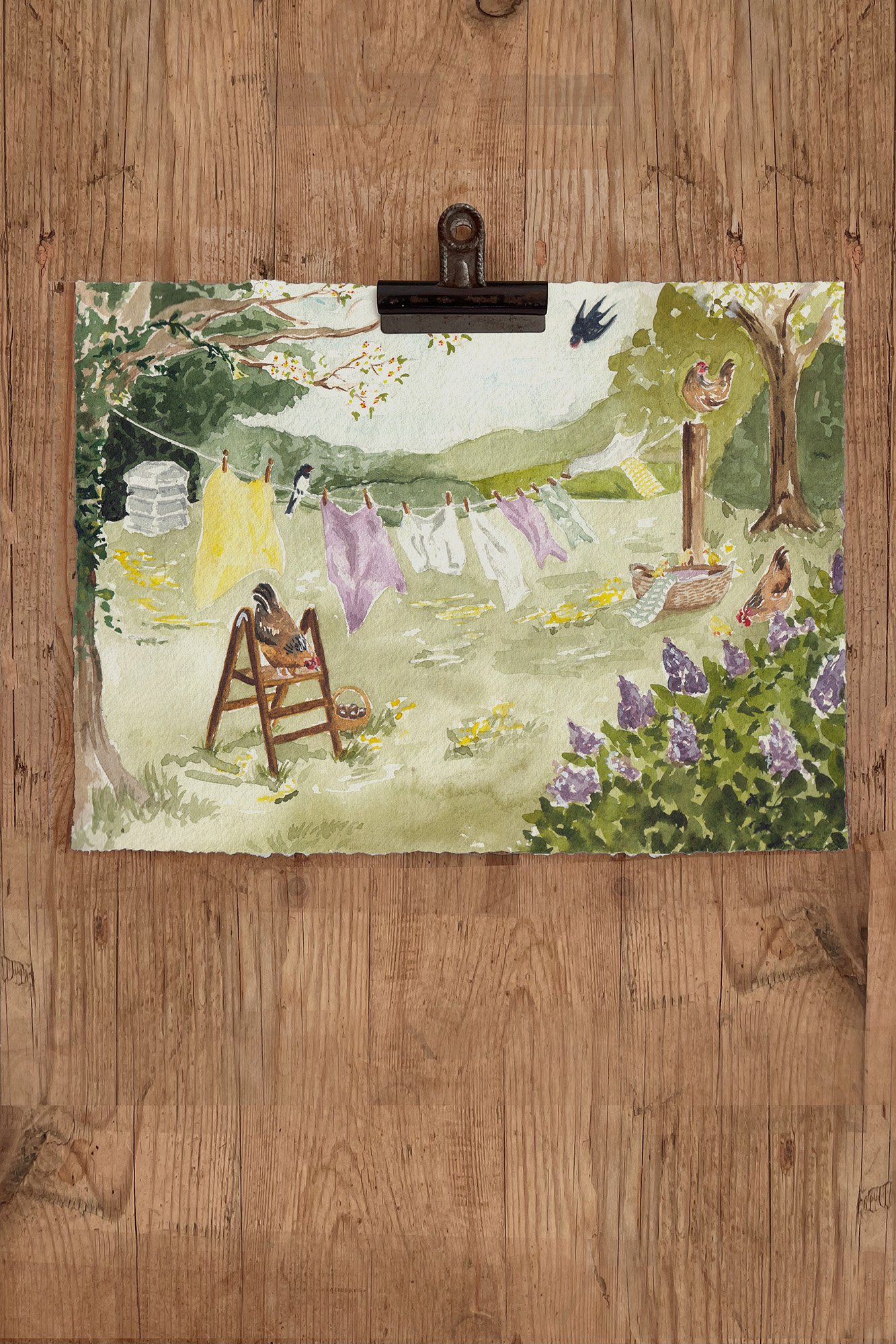 the washings out.jpg