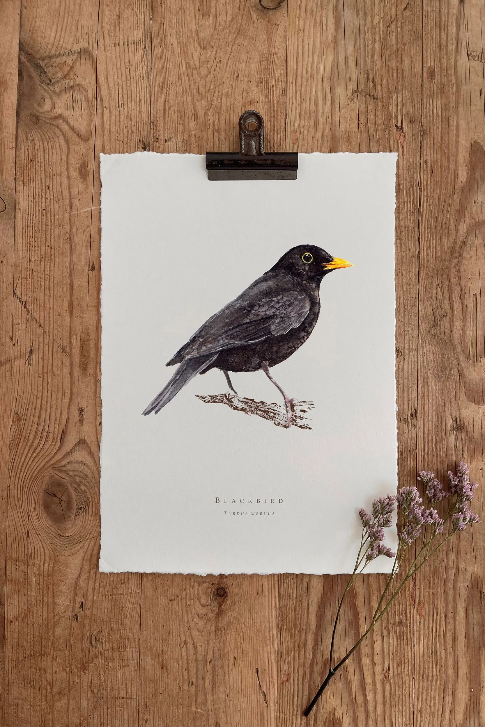BLACKBIRD PRINT.jpg