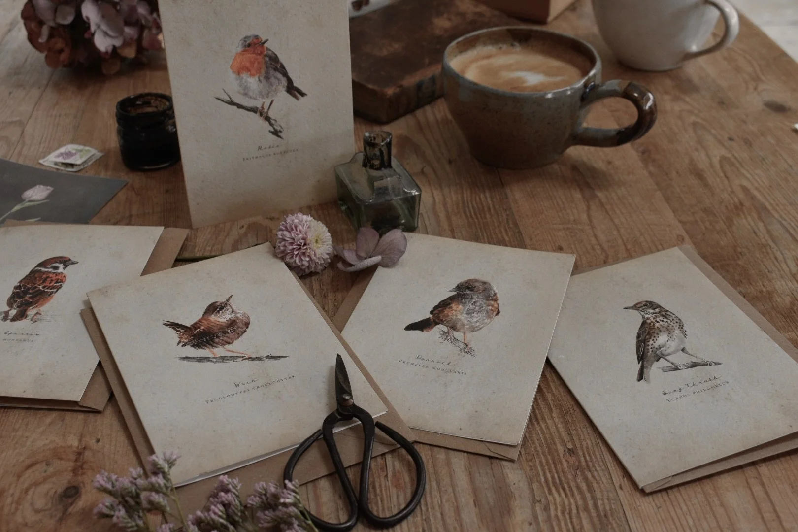 Vintage Set of Greetings Cards Inspired by British Garden Song Birds