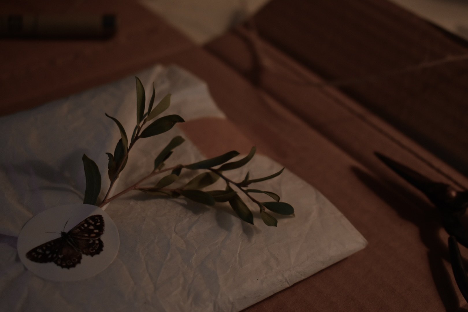 A small branch with green leaves on white tissue paper with a butterfly sticker, resting on a wooden surface in low lighting.